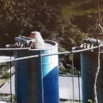 Gámbita Santander, Obras Bonos de Agua, Carrasquilla