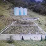 Gámbita Santander, Obras Bonos de Agua, Carrasquilla