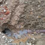 Guaca Santander, Obras Bonos de Agua, Carrasquilla