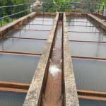 Lebrija Santander, Obras Bonos de Agua, Carrasquilla