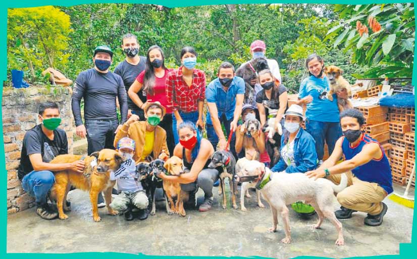 Fundación Huellas solidarias - Somos solidarios - Bucaramanga orgullo de ciudad - Orgullosos de nuestro carácter