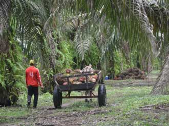 Producción agrícola, petrolera y de manufactura, fortalezas de Santander