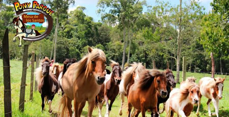 Pony Parque: Mesa de los Santos - Incomesa