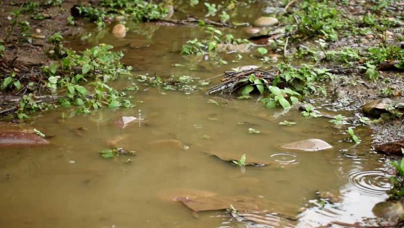 Los pescadores de La Playa, Betulia, sufren las consecuencias de la contaminación producida por la represa de Hidrosogamoso, un proyecto construido por Isagen en Santander.