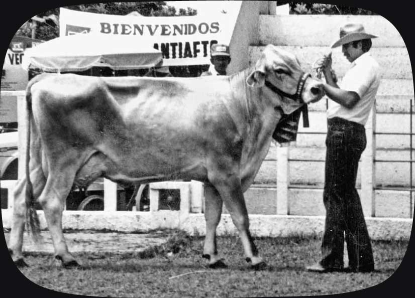  Alejandro Galvis Ramírez - Vanguardia - Especial - Gracias