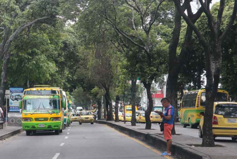 Marcha 21 de noviembre - Transporte operará con normalidad