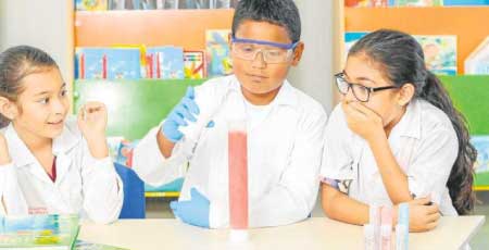 Newport School - Bucaramanga Santander, Colegio de Redcol