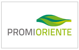 Logo Promioriente. Especial Santander no se detiene - Vanguardia