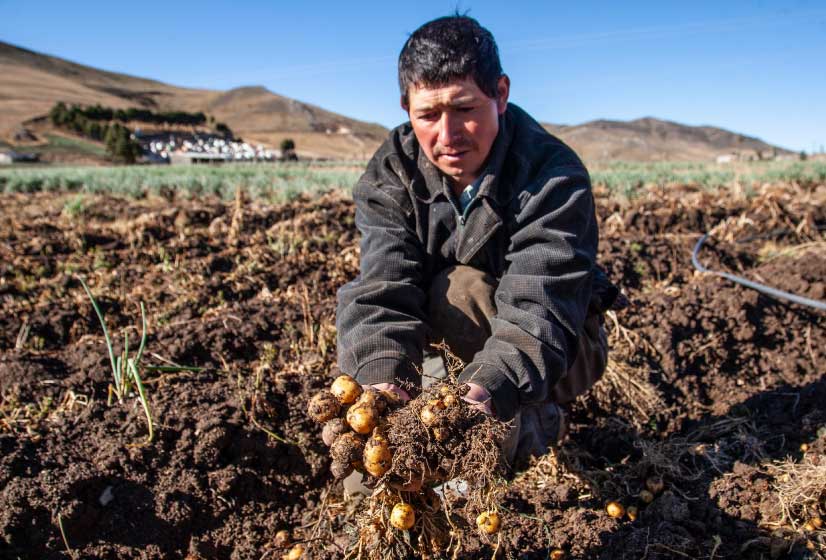 Campesinos de santander. Especial Santander no se detiene - Vanguardia