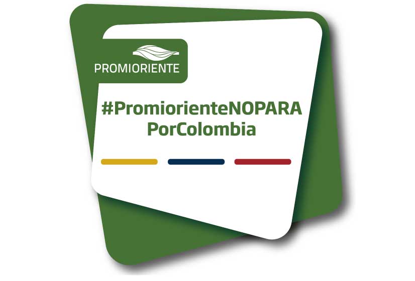 Promioriente. Especial Santander no se detiene - Vanguardia